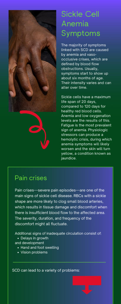 Sickle Cell Foundation, Inc. | About